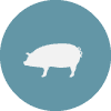 pork