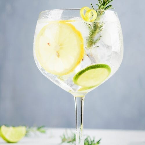 Citrusy Gin and Tonic